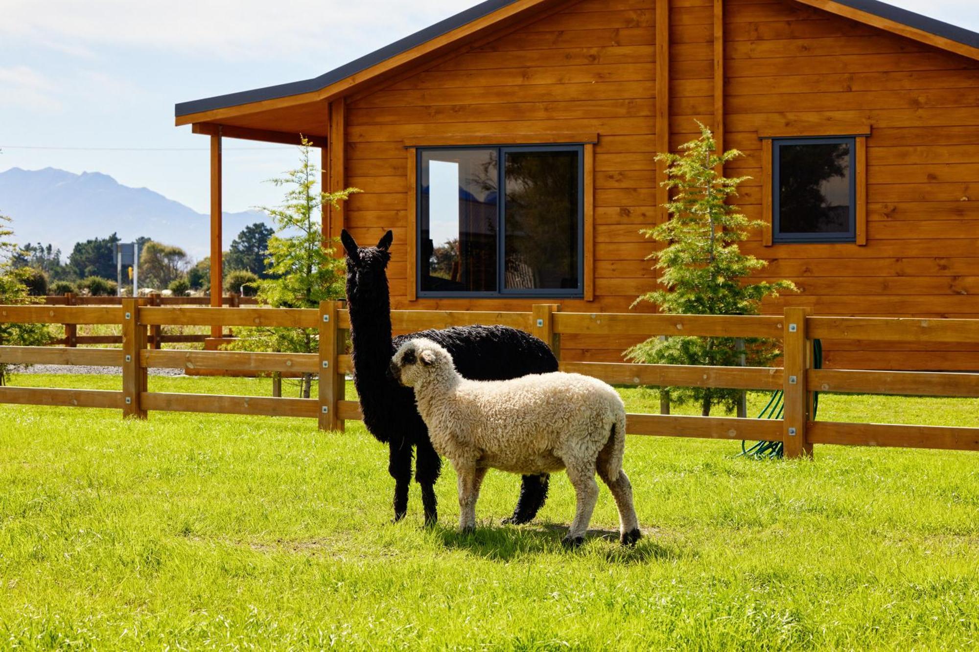Deerbrooke - 1 * Kaikoura